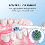 Professional Rotating rechargeable waterproof electric toothbrush - Image 4